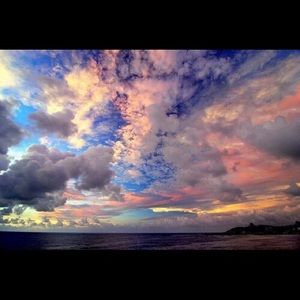 Meet your Posher, Auris