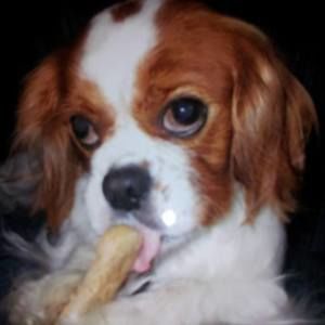 Meet your Posher, Colonna