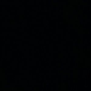 Meet your Posher, Judy