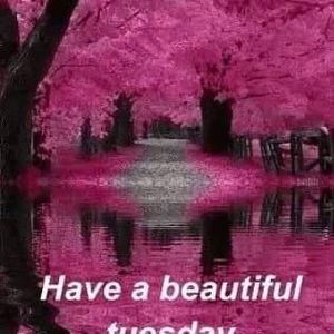 Meet your Posher, Yvette