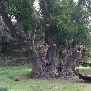 Meet your Posher, Miriam