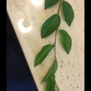 Meet your Posher, Ethan