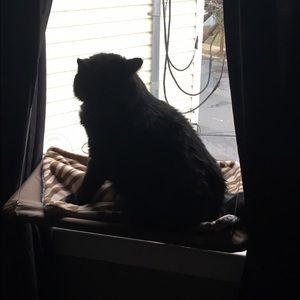 Meet your Posher, Marissa