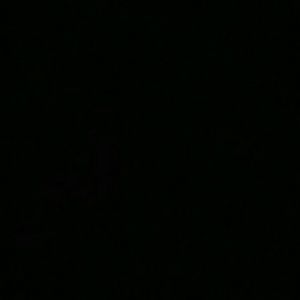 Meet your Posher, Lucas