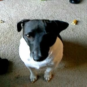 Meet your Posher, Jackie