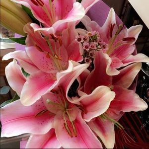 Meet your Posher, Briana