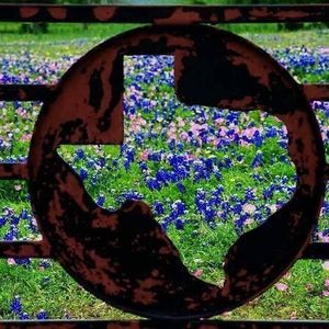 Meet your Posher, Penney