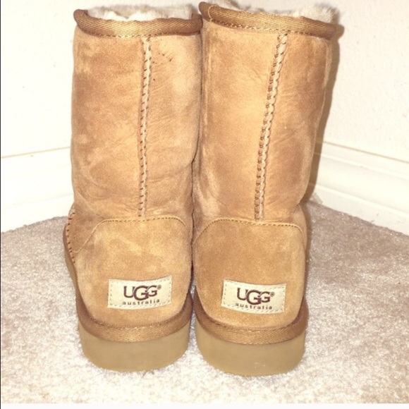 Brand new uggs
