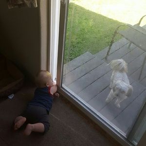 Meet your Posher, Amy