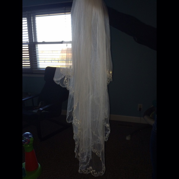 Veil as seen with the wedding dress
