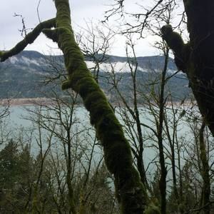 Meet your Posher, Cherie