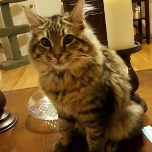 Meet your Posher, Traci