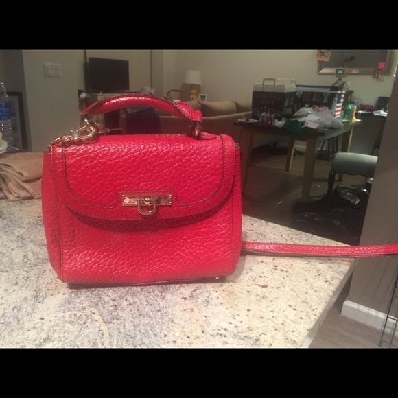 DKNY Purse