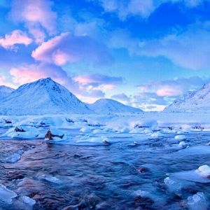 Meet your Posher, Tina