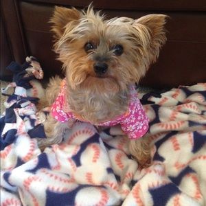 Meet your Posher, Camille