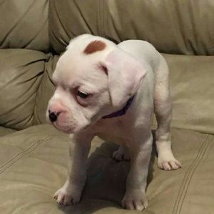 Meet your Posher, Deanna