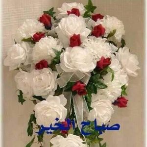 Meet your Posher, Fatiha