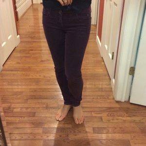 Purple corduroy pants