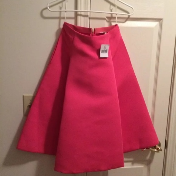 Kate spade pink full midi skirt