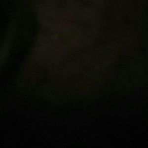 Meet your Posher, Evelyn