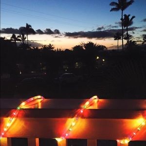 Meet your Posher, Lexie