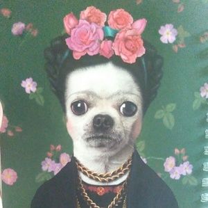 Meet your Posher, Felicitas