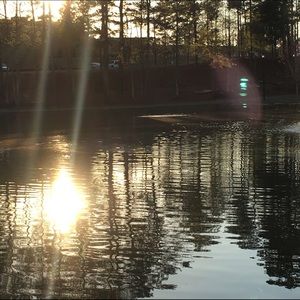 Meet your Posher, Sana