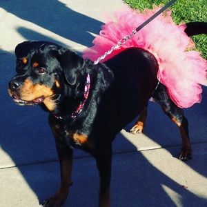 Meet your Posher, Jill