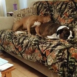 Meet your Posher, Andrea