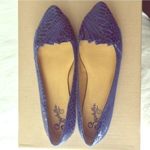 Seychelles blue leather flats