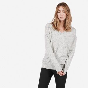 Everlane The Cashmere V-Neck Grey/Black XS