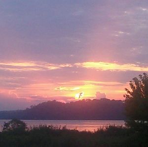 Meet your Posher, Bridgett