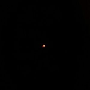 Meet your Posher, Peggy