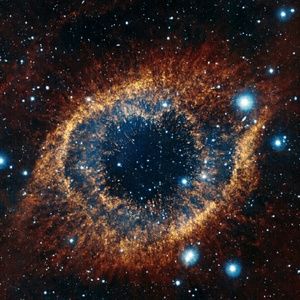 Meet your Posher, Marcus