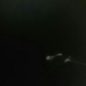 Meet your Posher, Briscoe