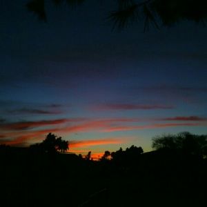 Meet your Posher, Daniela