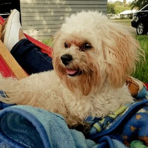 Meet your Posher, Vero