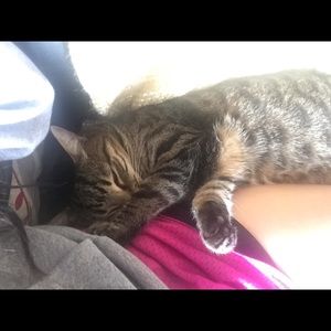 Meet your Posher, Taylor