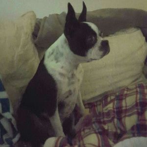 Meet your Posher, Sari