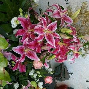 Meet your Posher, Cassandra