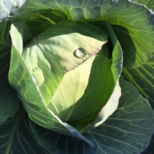 Meet your Posher, Caitlin