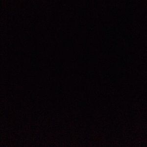 Meet your Posher, Hayden