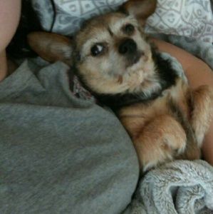 Meet your Posher, Ashley