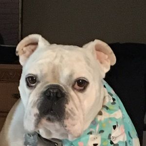 Meet your Posher, Monique