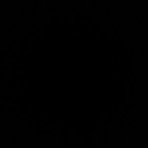 Meet your Posher, Amelia