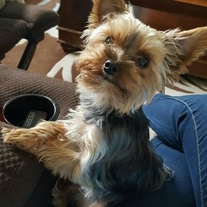 Meet your Posher, Cassandra