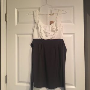 NWT classic gray and white dress