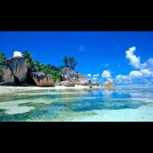 Meet your Posher, Dylan