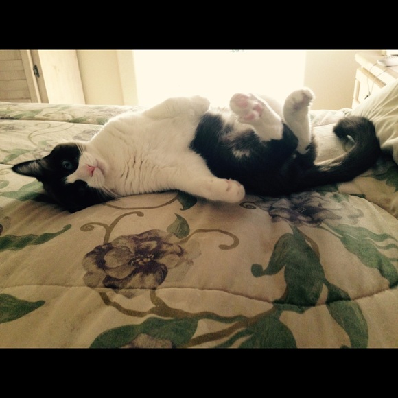 Meet your Posher, Tara