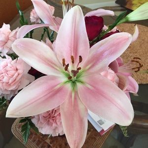 Meet your Posher, Kathleen